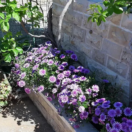 Appartement By The Sea Postira, Brac - 12291 *